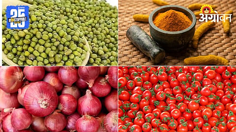 Agriculture Commodity Market