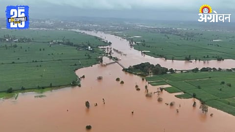 Flood 