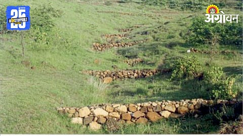 Watershed Management