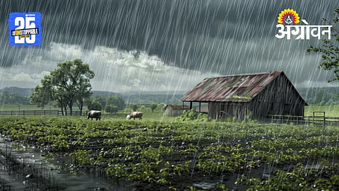 Stormy Rain