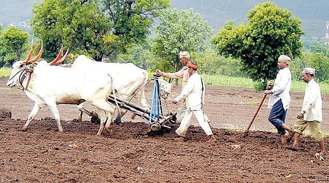 Farmers Loan Waiver