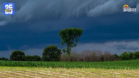 Monsoon Weather