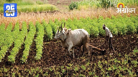 Farmer ID