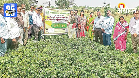 Crop Variety 