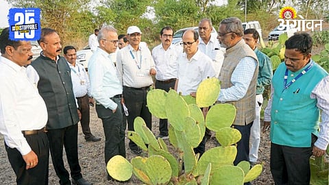 Agriculture Technology 