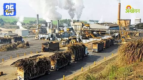 Sugar Industry