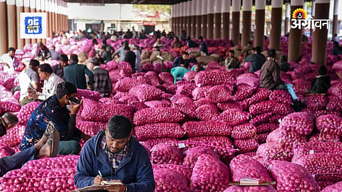 Onion Irradiation 