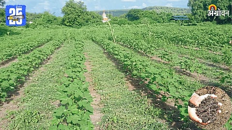 Sustainable Farming