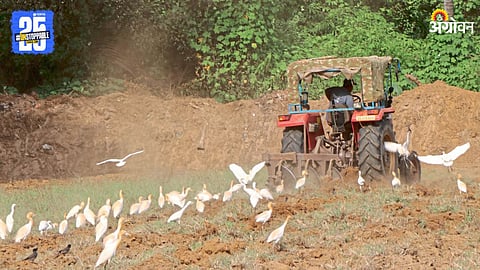 Summer Ploughing