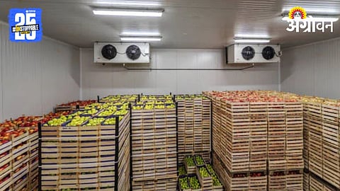 Cold Storage