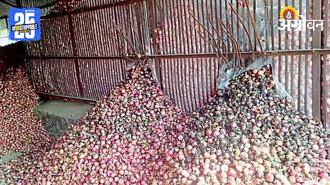 Crop Damage