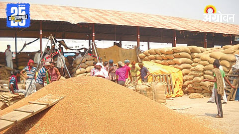 Pulses Market