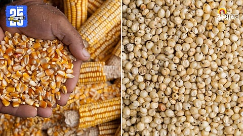 Maize and Jowar