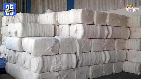 Cotton Bale