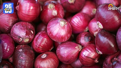 Onion