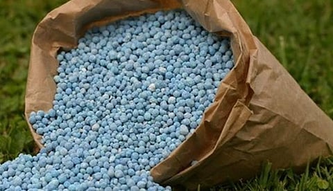 Fertilizers Linking