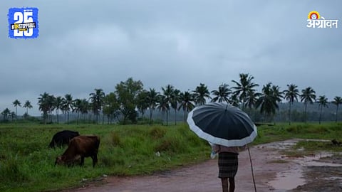Rain Alert