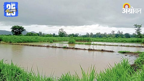 Crop Damage