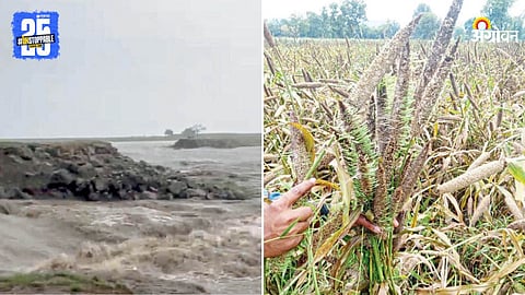Rain Crops Damage