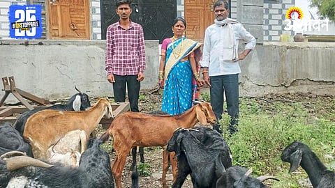 Goat Farming 