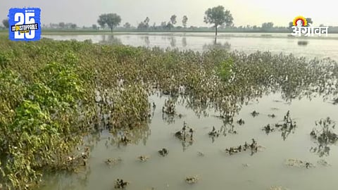 Monsoon Rain