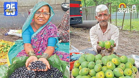 Tribal Livelihood 