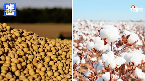 Kharif Crop MSP