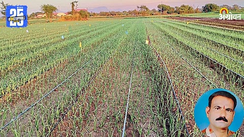 Onion Nursery Management