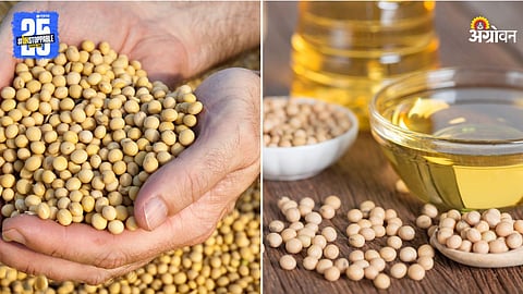 Soybean and Edible Oil