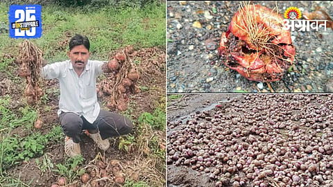Crop Damage
