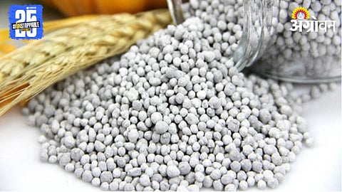 DAP Fertilizer