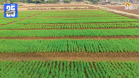 Agriculture