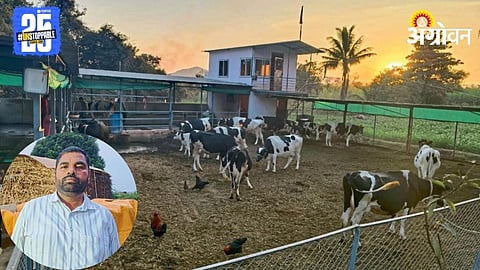 Dairy Farming 