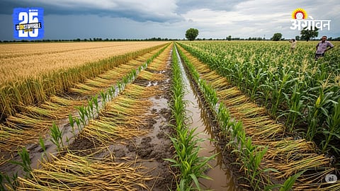 Crop Damage