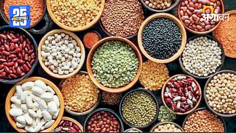 Seed Subsidy
