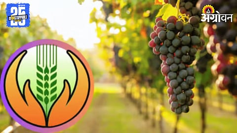 Fruit Crop Insurance 