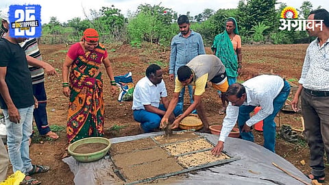 Seed Treatment