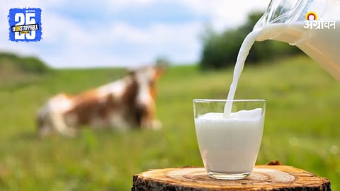 Milk
