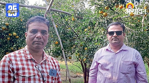 Orange Farming