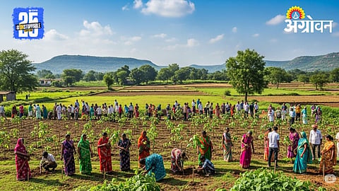 Tree Plantation