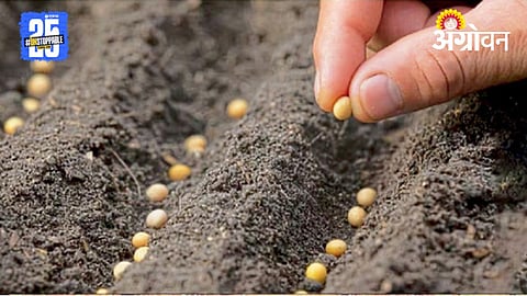 HTBT Seeds