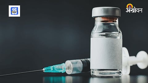 Poultry Vaccine