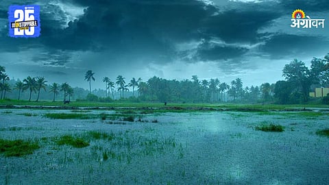 Monsoon