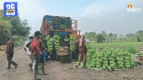 Banana Market