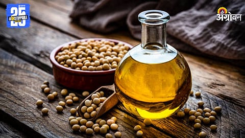 Soya Oil
