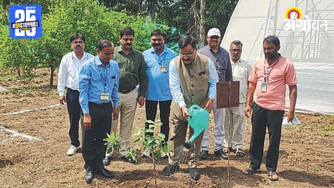 Apple Cultivation Marathwada 