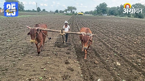 Parbhani Rainfall