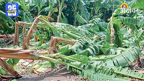 Agricultural Compensation