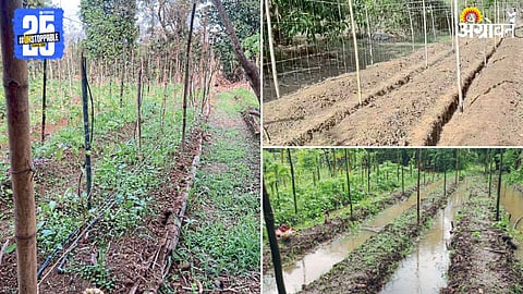 Agriculture Method