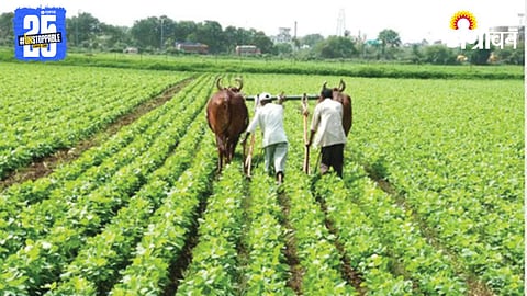 Crop Loan
